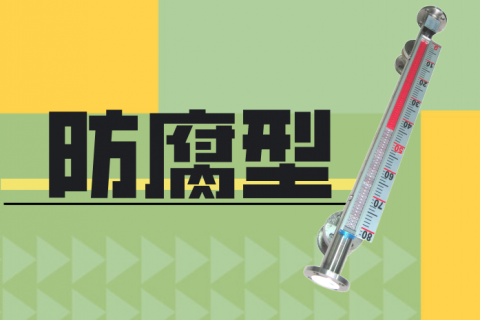 计为自动化新增一款F46内衬防腐型磁翻板液位计