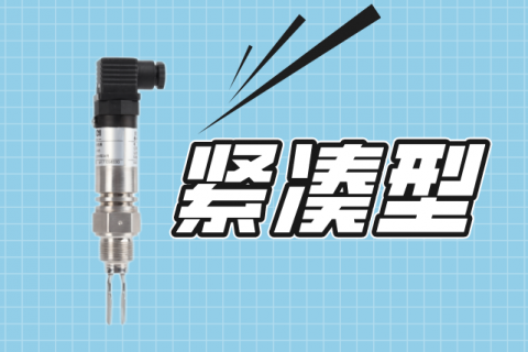 紧凑型音叉液位开关安装注意事项（附图）