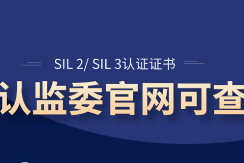 计为2米加长型SIL认证音叉液位开关批量用于制药企业