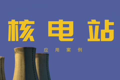 紧凑型音叉液位开关在核电站液位测量中的应用