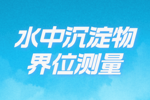 超长插入深度振棒在水中沉淀物测量中的应用