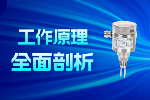 音叉液位开关工作原理深度解析