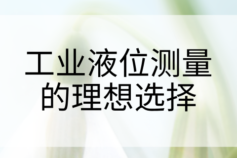 计为Ring-11音叉液位开关：卓越品质，工业液位测量的理想选择