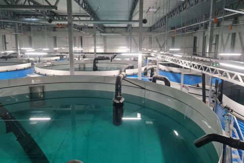 雷达液位计在鱼苗养殖水槽中的应用：精准测量，稳定水位保障水产健康