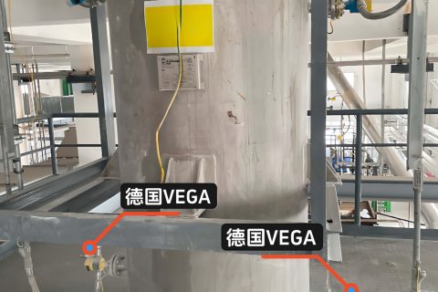 为什么计为自动化的仪表可以替代VEGA和E+H？