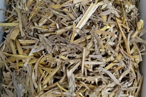 秸秆预处理装置的料位监测优化——计为Tube-11振棒料位开关的应用案例