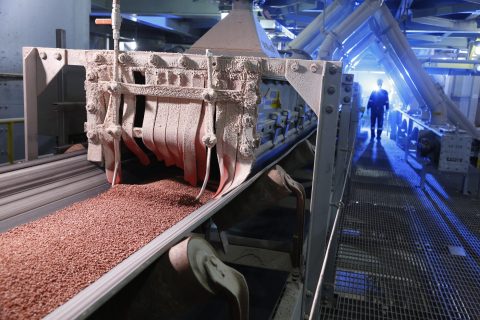 计为振棒料位开关中标加拿大钾肥企业全球项目