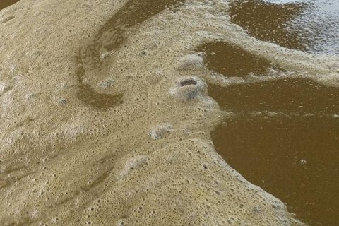 沼气罐液位监测新方案：音叉液位开关结合雷达液位计