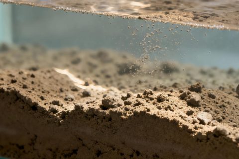 水中沉淀物如何实现可靠检测？一体式 vs 缆绳型振棒料位开关全面解析