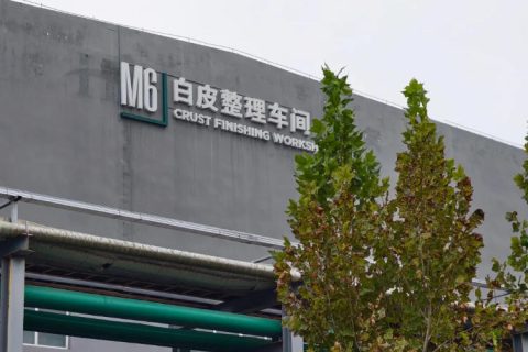 振棒料位开关在河南UGG制鞋工厂自动送料系统中的应用案例