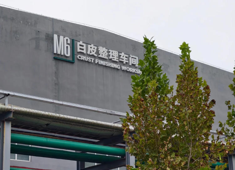 振棒料位开关在河南UGG制鞋工厂自动送料系统中的应用案例