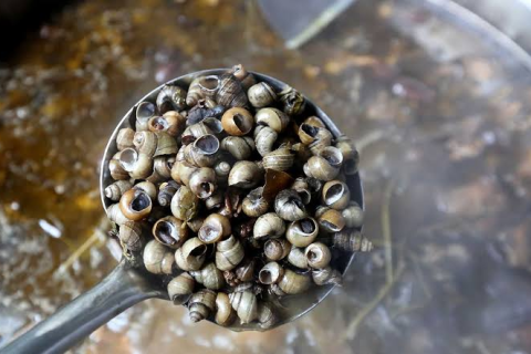 螺蛳粉汤料液位怎么测？音叉液位开关和浮球怎么选？